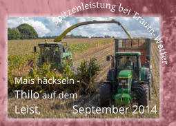 Mais häckseln - Thilo auf dem  Leist, 	  September 2014