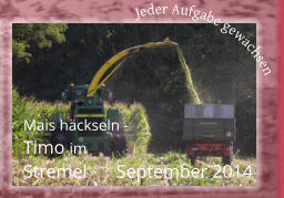Mais häckseln - Timo im  Stremel 	  September 2014